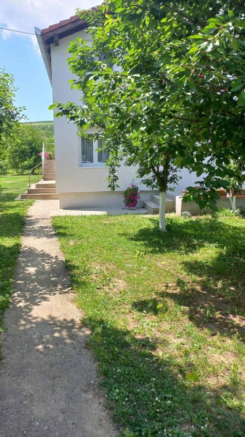 Apartman Flora Rednek Kültér fotó