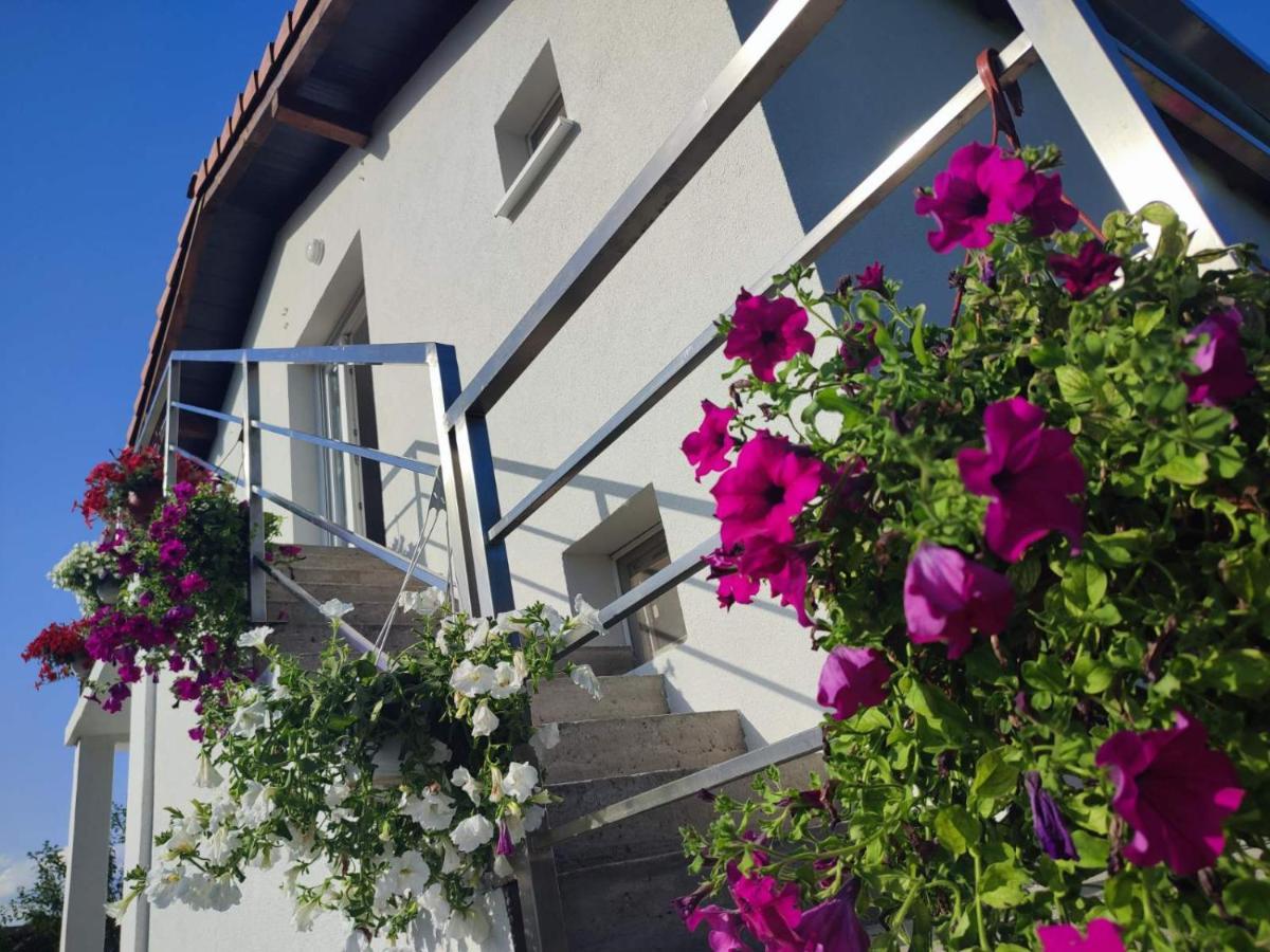 Apartman Flora Rednek Kültér fotó